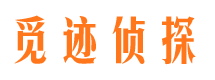 农安婚外情调查取证